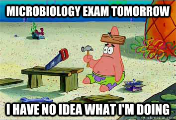 Microbiology Exam tomorrow I have no idea what i'm doing  I have no idea what Im doing - Patrick Star