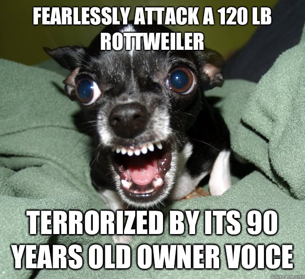 Fearlessly attack a 120 lb Rottweiler Terrorized by its 90 years old owner voice  