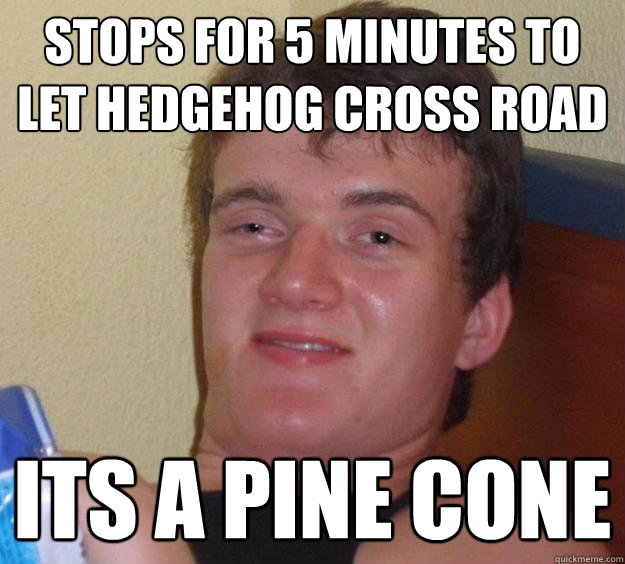 stops for 5 minutes to let hedgehog cross road its a pine cone  10 Guy