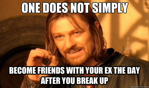 One does not simply Become friends with your ex the day after you break up  