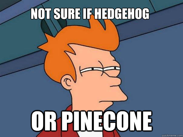 Not sure if hedgehog Or pinecone  Futurama Fry