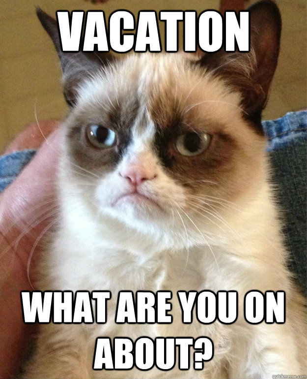 vacation what are you on about?  Grumpy Cat