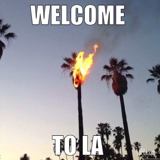 WELCOME TO LA Misc