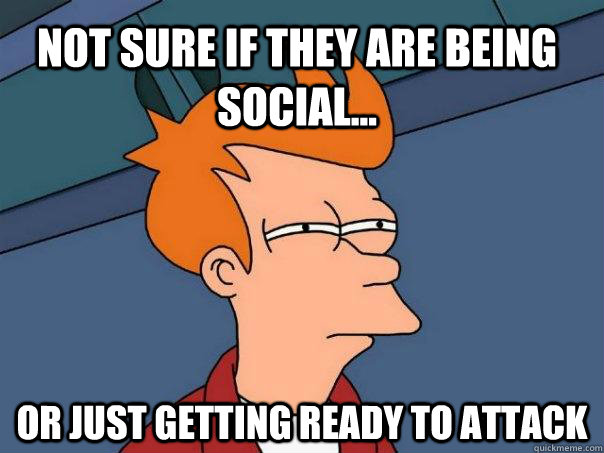 Not sure if they are being social... or just getting ready to attack  Futurama Fry