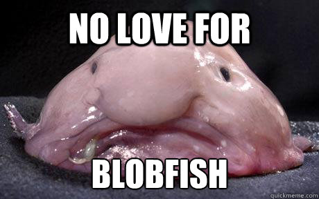 no love for blobfish - no love for blobfish  Douchebag Blobfish