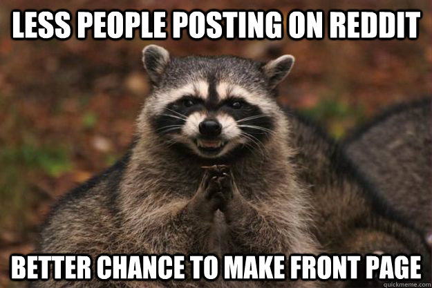 less people posting on reddit better chance to make front page  Evil Plotting Raccoon