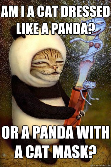 Am I a Cat dressed like a Panda? Or a Panda with a Cat mask?  