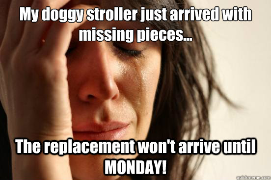 My doggy stroller just arrived with missing pieces... The replacement won't arrive until MONDAY!  First World Problems