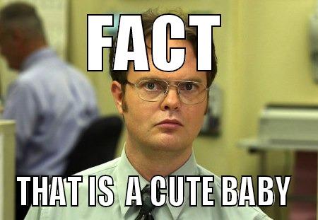 Cute Baby - FACT THAT IS  A CUTE BABY  Schrute