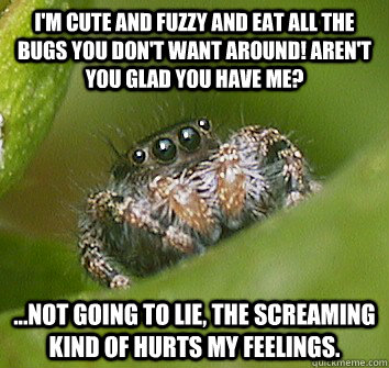 I'm cute and fuzzy and eat all the bugs you don't want around! aren't you glad you have me? ...Not going to lie, the screaming kind of hurts my feelings. - I'm cute and fuzzy and eat all the bugs you don't want around! aren't you glad you have me? ...Not going to lie, the screaming kind of hurts my feelings.  Misunderstood Spider