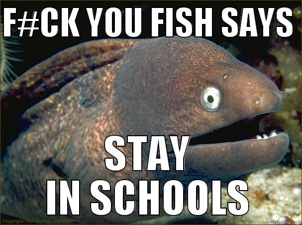 F#CK YOU FISH SAYS  STAY IN SCHOOLS Bad Joke Eel