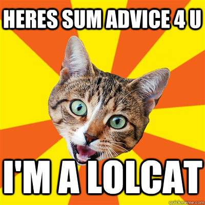 Heres sum advice 4 u i'm a lolcat  Bad Advice Cat