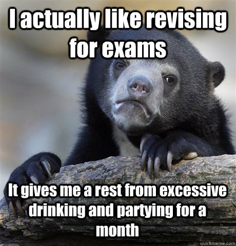 I actually like revising for exams It gives me a rest from excessive drinking and partying for a month - I actually like revising for exams It gives me a rest from excessive drinking and partying for a month  Confession Bear