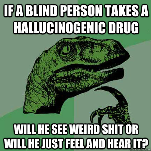 If a blind person takes a hallucinogenic drug Will he see weird shit or will he just feel and hear it?  Philosoraptor