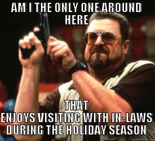 AM I THE ONLY ONE AROUND HERE THAT ENJOYS VISITING WITH IN-LAWS DURING THE HOLIDAY SEASON Am I The Only One Around Here