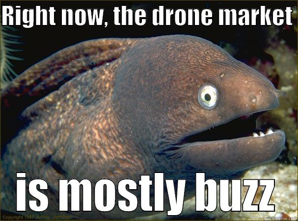 Mike Murphy, Everybody! - RIGHT NOW, THE DRONE MARKET  IS MOSTLY BUZZ Bad Joke Eel