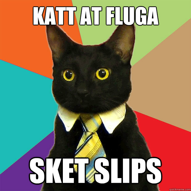 Katt åat Fluga Sket slips  Business Cat