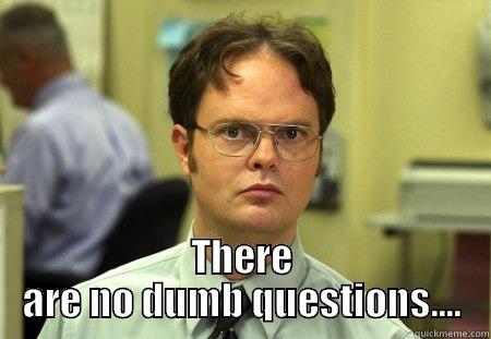  THERE ARE NO DUMB QUESTIONS.... Schrute