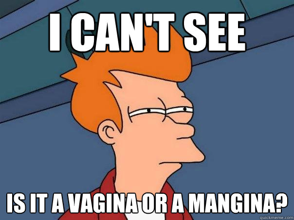 I can't see is it a vagina or a mangina?  Futurama Fry