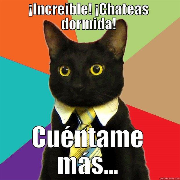 ¡INCREIBLE! ¡CHATEAS DORMIDA! CUÉNTAME MÁS... Business Cat