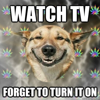 watch tv forget to turn it on  Stoner Dog