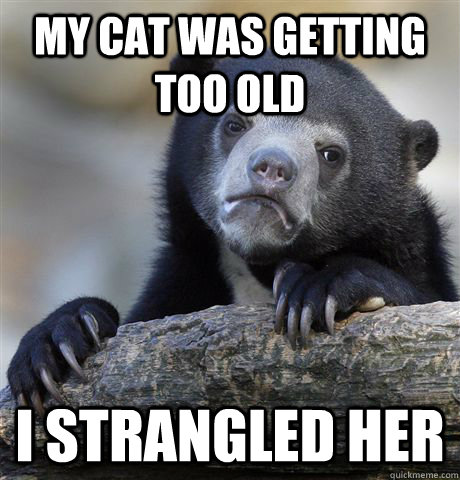 My Cat Was Getting Too Old I strangled her  Confession Bear