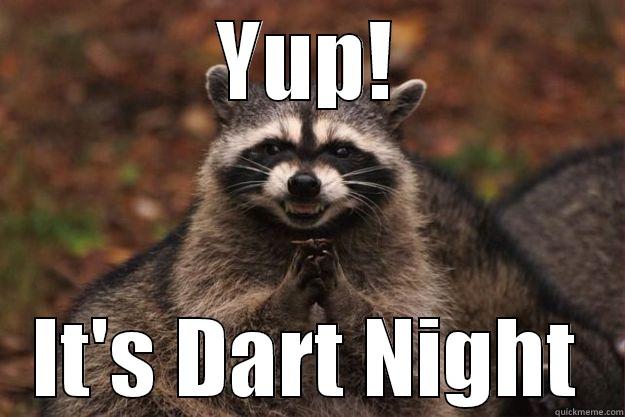 YUP! IT'S DART NIGHT Evil Plotting Raccoon