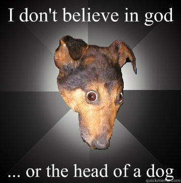 I don't believe in god ... or the head of a dog  Depression Dog