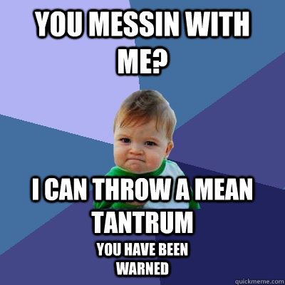 you messin with me? i can throw a mean tantrum you have been warned - you messin with me? i can throw a mean tantrum you have been warned  Success Kid