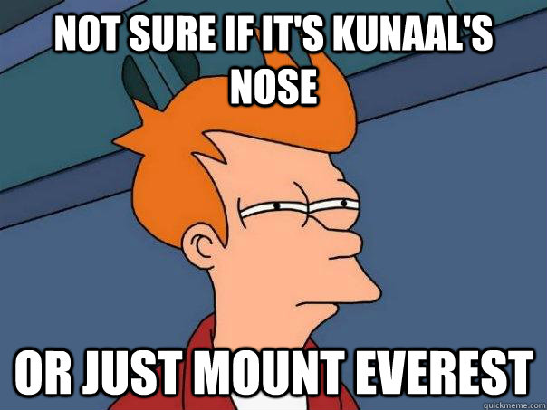 Not sure if it's kunaal's nose or just mount everest  Futurama Fry