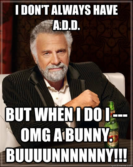 I don't always have A.D.D. but when I do I --- OMG A BUNNY.  BUuuunnnnNNY!!!  The Most Interesting Man In The World