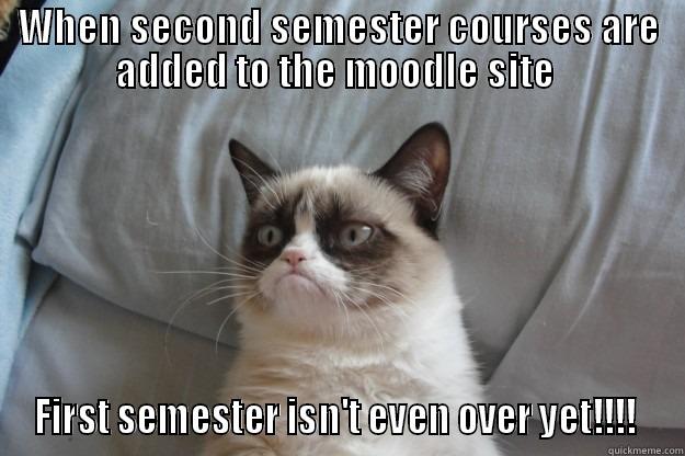 WHEN SECOND SEMESTER COURSES ARE ADDED TO THE MOODLE SITE  FIRST SEMESTER ISN'T EVEN OVER YET!!!!  Grumpy Cat