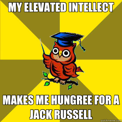 MY ELEVATED INTELLECT MAKES ME HUNGREE FOR A JACK RUSSELL - MY ELEVATED INTELLECT MAKES ME HUNGREE FOR A JACK RUSSELL  Observational Owl