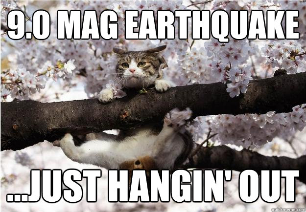 9.0 mag Earthquake ...just hangin' out  Tsunami cat