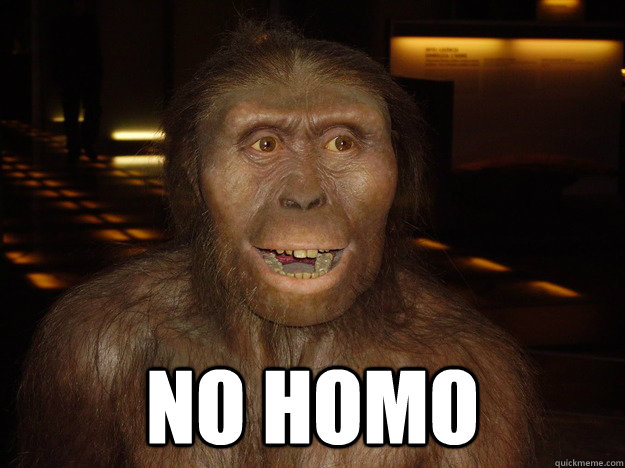  NO HOMO  Australopithecus