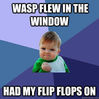  wasp flew in the window had my flip flops on  Success Kid