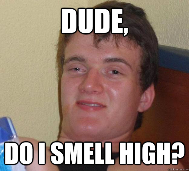 Dude,
 Do I smell high? - Dude,
 Do I smell high?  10 Guy