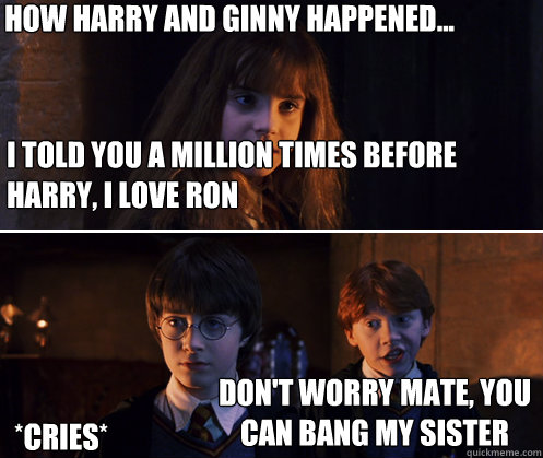 I told you a million times before harry, I love ron Don't worry mate, you can bang my sister How Harry and ginny happened... *cries*  