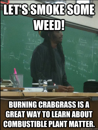 Let's smoke some weed! burning crabgrass is a great way to learn about combustible plant matter.  Rasta Science Teacher