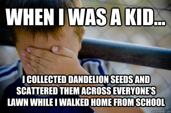 WHEN I WAS A KID... I collected dandelion seeds and scattered them across everyone's lawn while i walked home from school  Confession kid