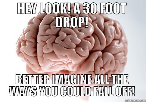 HEY LOOK! A 30 FOOT DROP! BETTER IMAGINE ALL THE WAYS YOU COULD FALL OFF! Scumbag Brain