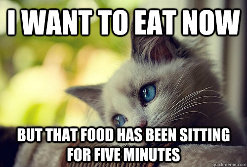 I want to eat now but that food has been sitting for five minutes - I want to eat now but that food has been sitting for five minutes  First World Problems Cat