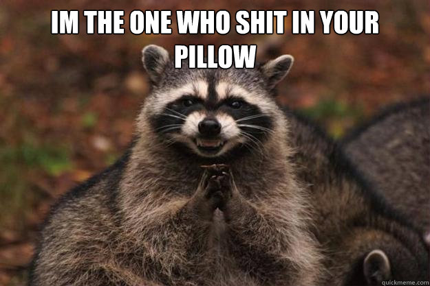 Im the one who shit in your pillow   - Im the one who shit in your pillow    Evil Plotting Raccoon