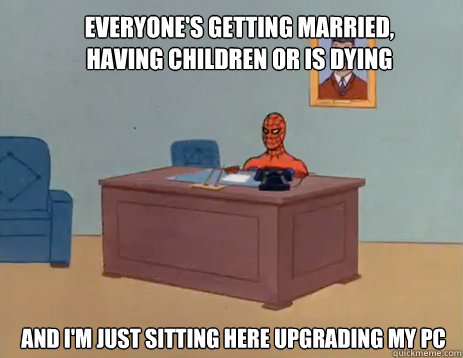 Everyone's getting married, having children or is dying And I'm just sitting here upgrading my PC  masturbating spiderman