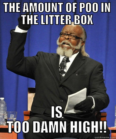 THE AMOUNT OF POO IN THE LITTER BOX IS TOO DAMN HIGH!! The Rent Is Too Damn High