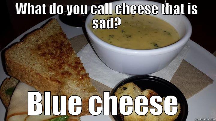 WHAT DO YOU CALL CHEESE THAT IS SAD? BLUE CHEESE  Misc