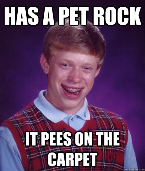 Has a Pet rock It pees on the carpet  Bad Luck Brian