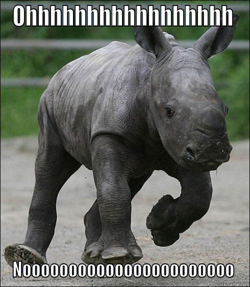 baby rhino - OHHHHHHHHHHHHHHHHH NOOOOOOOOOOOOOOOOOOOOOOO Misc