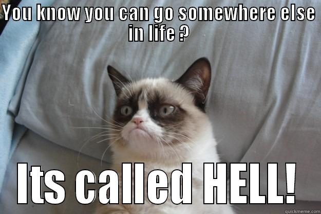 YOU KNOW YOU CAN GO SOMEWHERE ELSE IN LIFE ? ITS CALLED HELL! Grumpy Cat