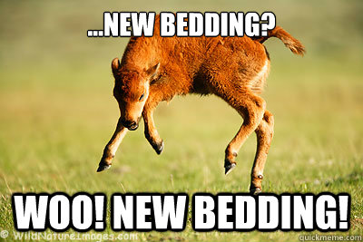 ...New bedding? woo! new bedding! - ...New bedding? woo! new bedding!  Happy Calf